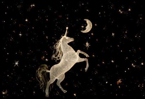 为什么说下一个独角兽会诞生在互联网 学车行业中